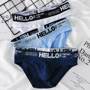 3pcs/2pcs Pure Cotton Men's Underwear Breathable Independent Pouch Briefs Comfortable Cotton Boxer Briefs - AliExpress 200574005