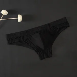 Hot Men's Sexy Ice Silk Skinny Briefs Comfy Breathable Low-Waist Underwear Men Ice Silk Breathable Low-waist Underwear - AliExpress 200574005