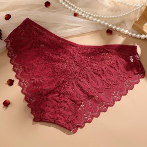 Knowyou Sexy Underwear for Women Lace Cheeky Panties V-waist Womens Underwear Soft Cute Low Rise Bikini Hipster for Ladies