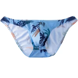 Men Bikini Briefs Sexy Underwear Gay Panties Comfortable Penis Pouch Slip Hombre Cuecas Male Underpants Nylon Mesh Quick Dry - AliExpress 200574005