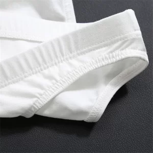 Men's Underwear Solid Color Summer Cotton Underpants Male Shorts Sexy Briefs Big Size Seamless Man Panties For Men - AliExpress 200574005